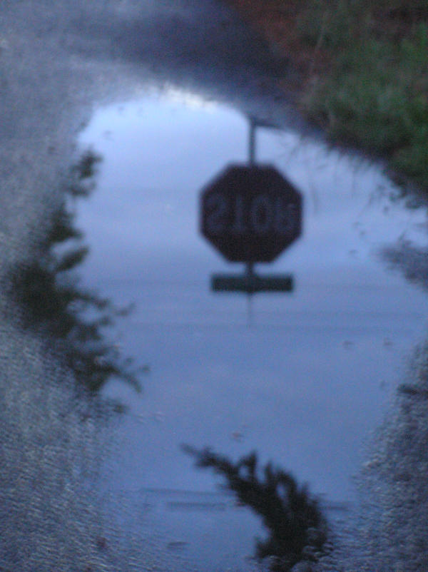 stop puddle by free-floating on DeviantArt