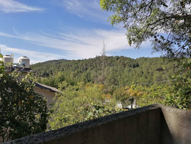 Beautiful view
