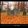 Autumn on grave-yard