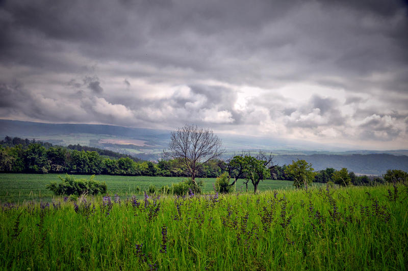 Czech land II