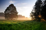 Thin mist by tomsumartin