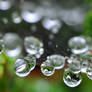 Water droplets II