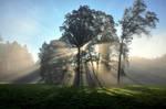 Morning full of lights II by tomsumartin