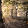 Follow the litpath