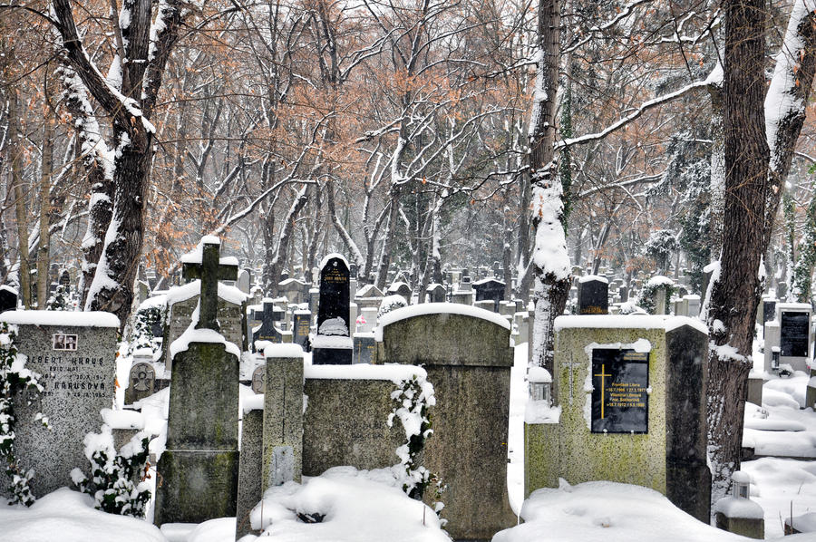 Winter cemetery III