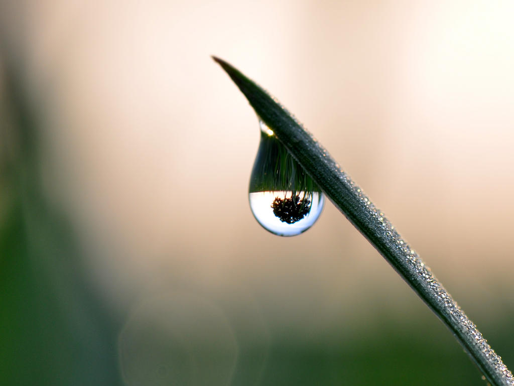 The world in a drop