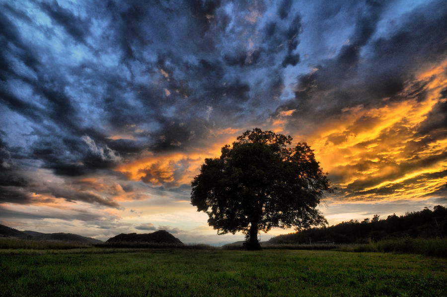 Before the end comes II by tomsumartin
