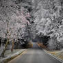 The path to a better tomorrow