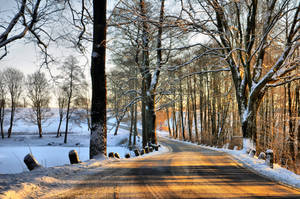 Winter meditation