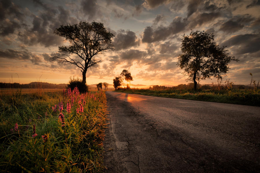 K Olesce by tomsumartin K Olesce by tomsumartin