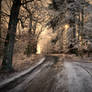 Winter love