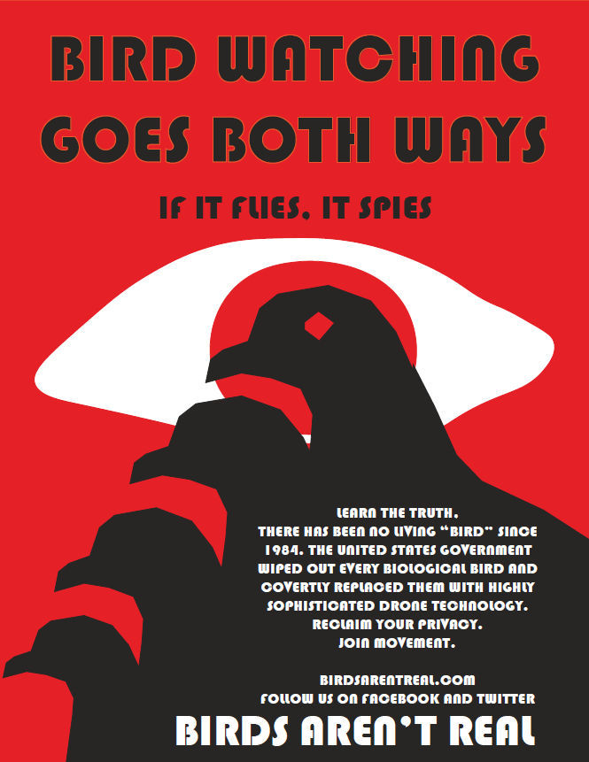 Birds Aren't Real by ArtFromMyPhone on DeviantArt