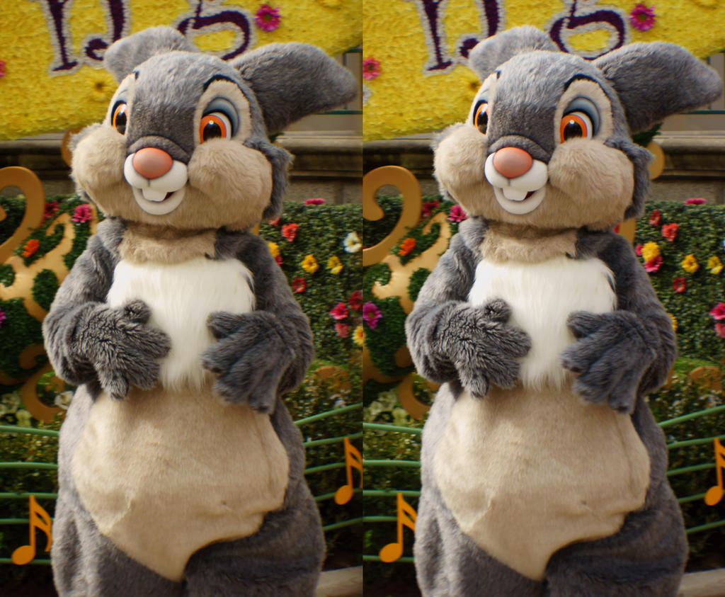 Deviantart Thumper Rabbit Thumper by Aoi-the-kitsune on DeviantArt