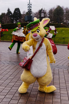 Rabbit in Christmas Parade
