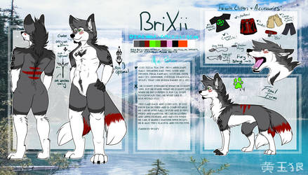 Brixii reference sheet NEW