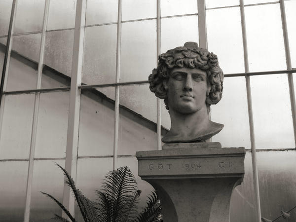 statue head