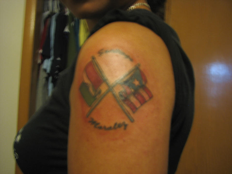 Mexican And Puerto Rican Flag By Mexericangirl01 On Deviantart