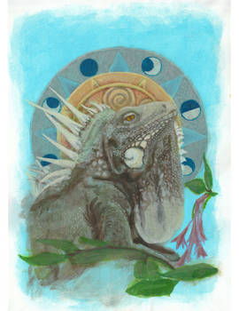 Summer Solstice Iguana 2021