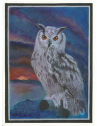 Summer Solstice Twilight Owl 2021