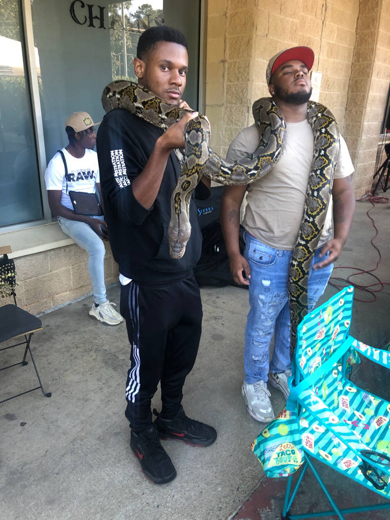 Burmese Python by trentg-36 on DeviantArt