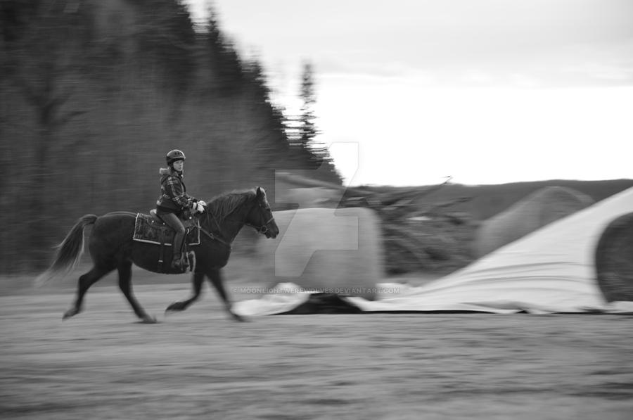 Joy Ride by MoonlightWerewolves on DeviantArt