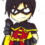 YJ - Robin Tim Drake