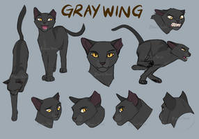 Gray Wing