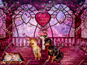 Canine love by Renata-s-art Canine love by Renata-s-art