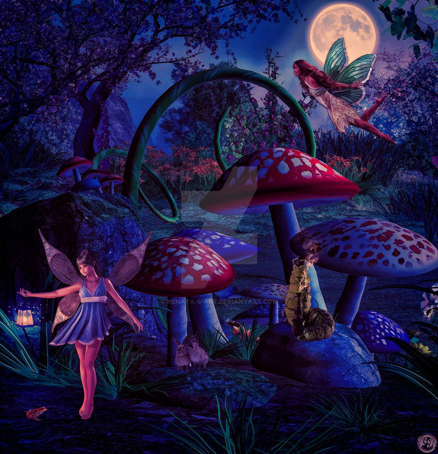 Moonlight fairies by Renata-s-art