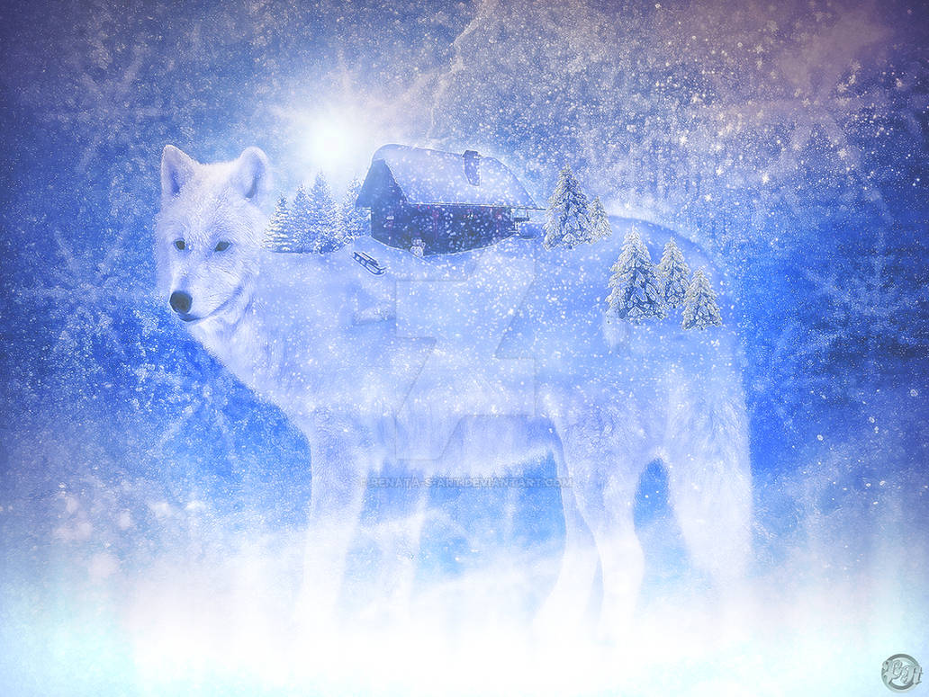 Wild Spirit by Renata-s-art Wild Spirit by Renata-s-art