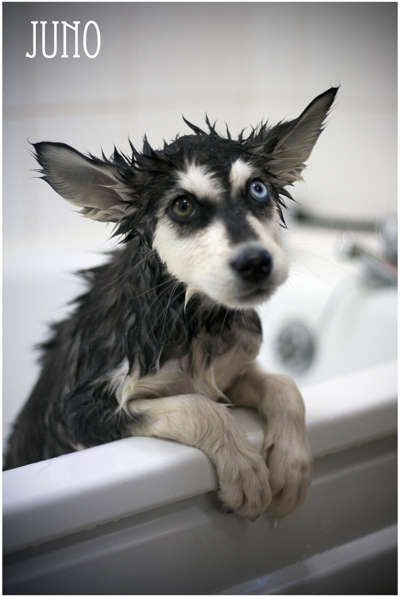 Bath Time