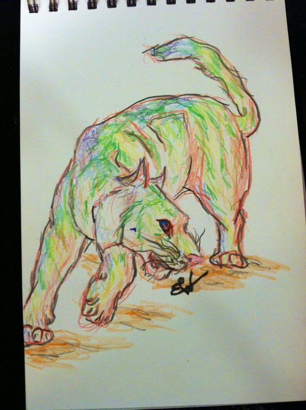 Colorful predator by emnimz19 on DeviantArt