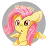 Fluttershy nyu