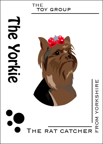 The Yorkshire Terrier Design