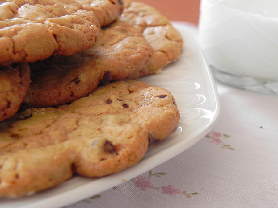 Homemade Chocolate Chip Cookies