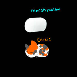 The Calico Marshmallow