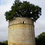 Pouzay Dovecote - 1