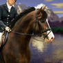 Peaceful - Horse Pic - Photomanipulation