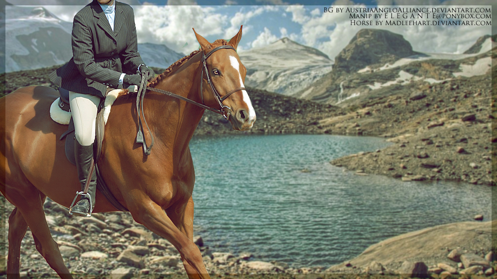 Patriotism - Horse Picture Premade