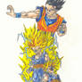 Gohan - SSJ, SSJ2 and Adult