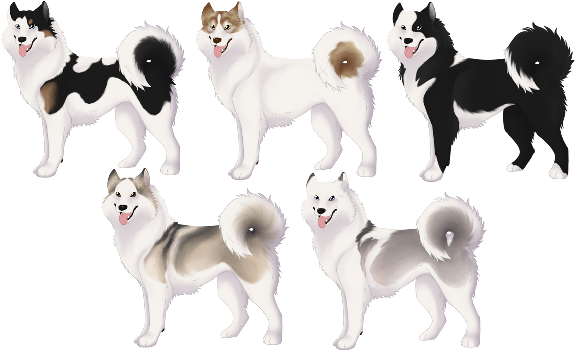 Yakutian online laika price