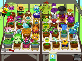 My Zen Garden