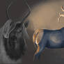 Elk Study