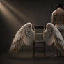 Empty Wings