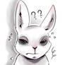 Sleep deprived bun~
