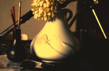 the vase