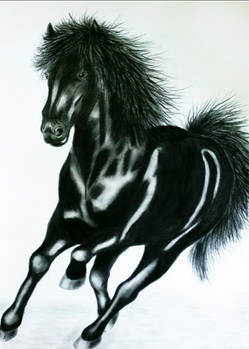 Black Horse