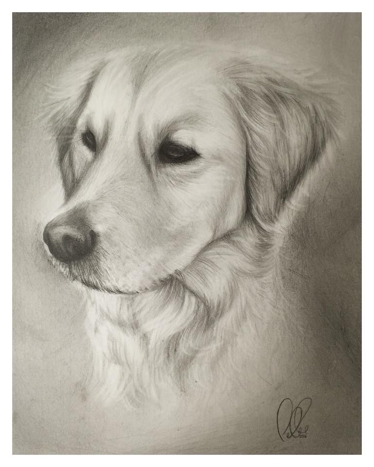 Mollie by petebritney