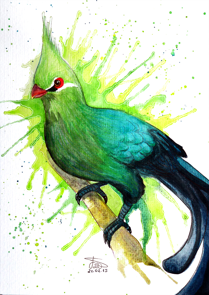 Guinea Turaco