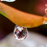 waterdrops